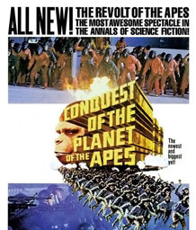 Movies Most Similar to Conquest of the Planet of the Apes (1972)
